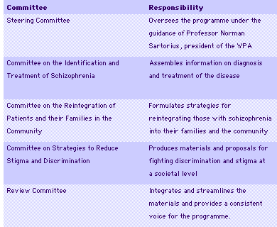 Committees and Responsibilities